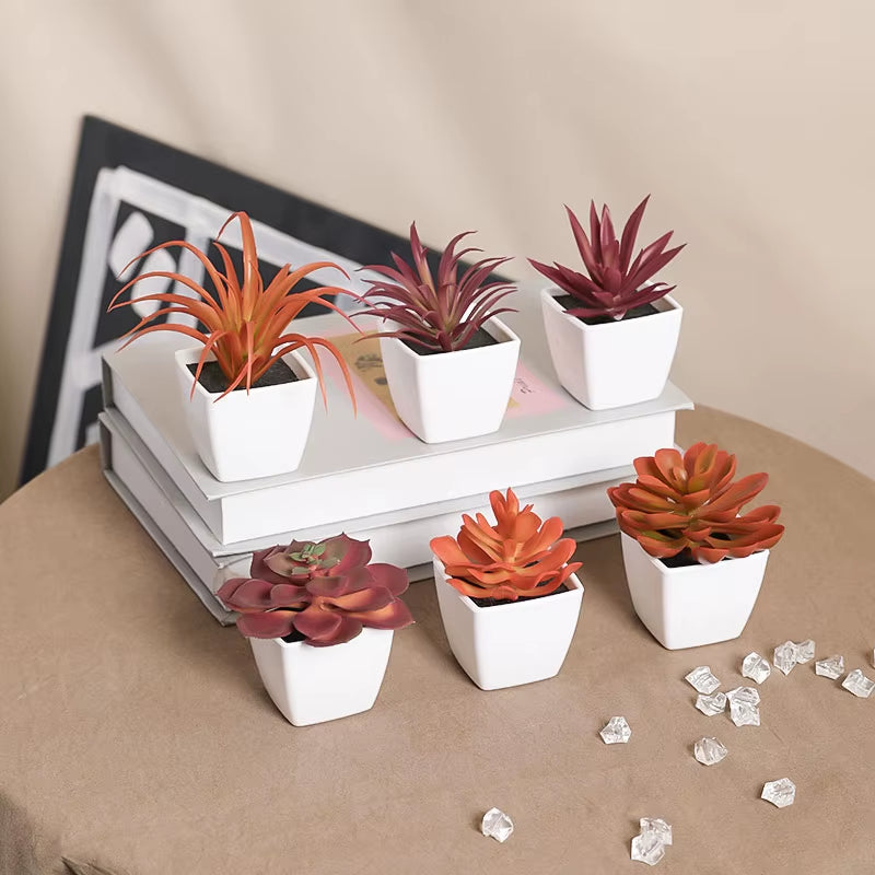 Elevate Your Space with 6PCS Mini Artificial Succulent Plants in Chic White Basins - Perfect for Home, Restaurants, and More!