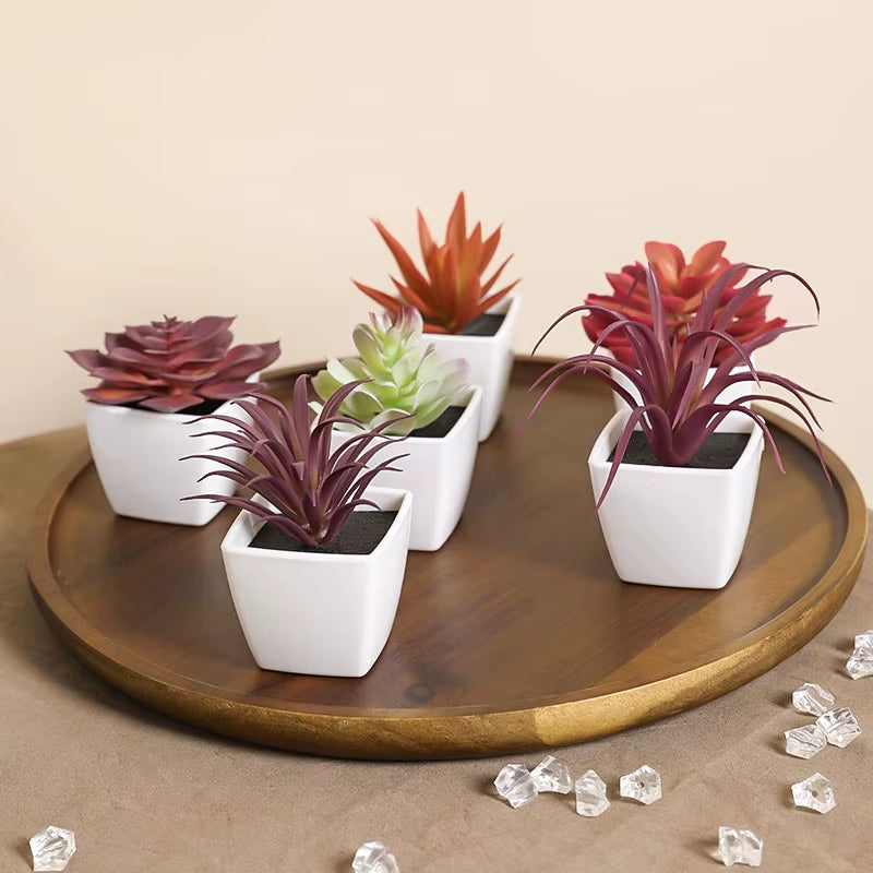 Elevate Your Space with 6PCS Mini Artificial Succulent Plants in Chic White Basins - Perfect for Home, Restaurants, and More!