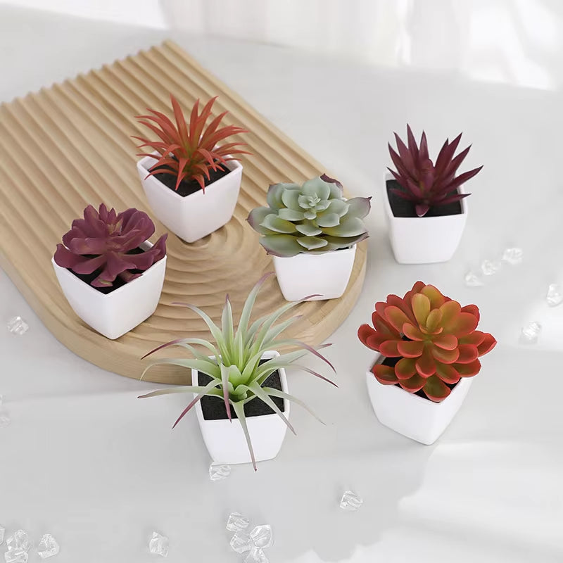 Elevate Your Space with 6PCS Mini Artificial Succulent Plants in Chic White Basins - Perfect for Home, Restaurants, and More!