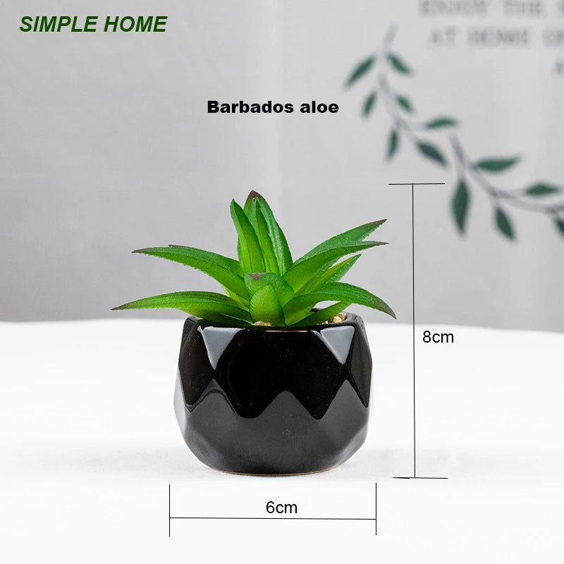 Vibrant Artificial Succulent Bonsai Plant with Elegant Pottery for Stunning Office and Home Decor