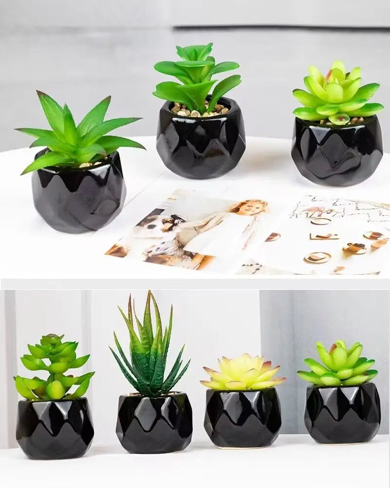 Vibrant Artificial Succulent Bonsai Plant with Elegant Pottery for Stunning Office and Home Decor