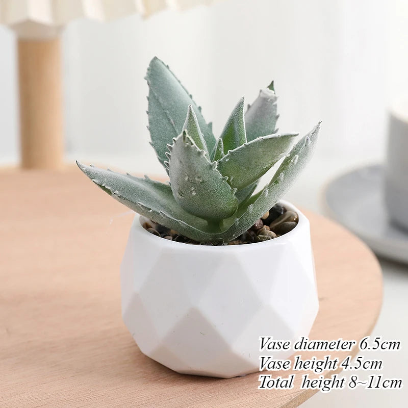 Charming Mini Artificial Succulent Plants Set - Lifelike Cactus Bonsai for Effortless Indoor Home Decor