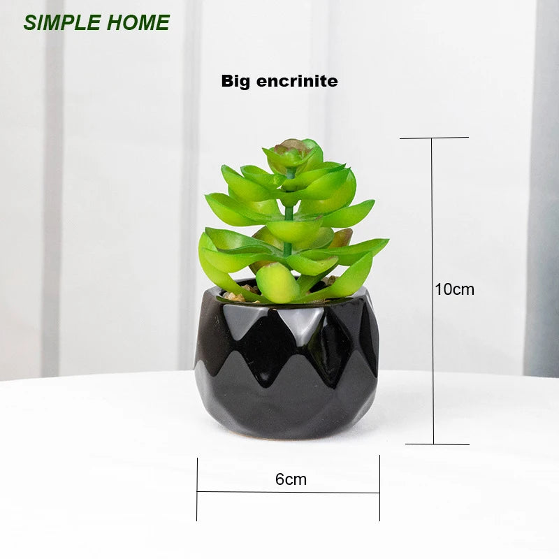Vibrant Artificial Succulent Bonsai Plant with Elegant Pottery for Stunning Office and Home Decor