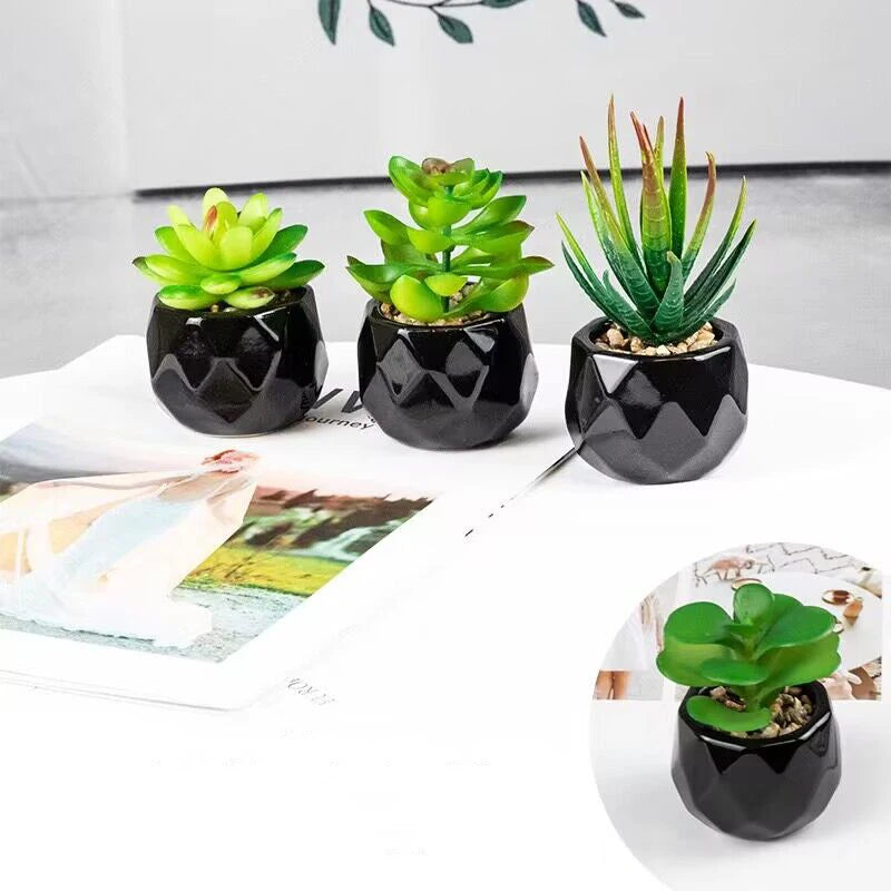 Vibrant Artificial Succulent Bonsai Plant with Elegant Pottery for Stunning Office and Home Decor