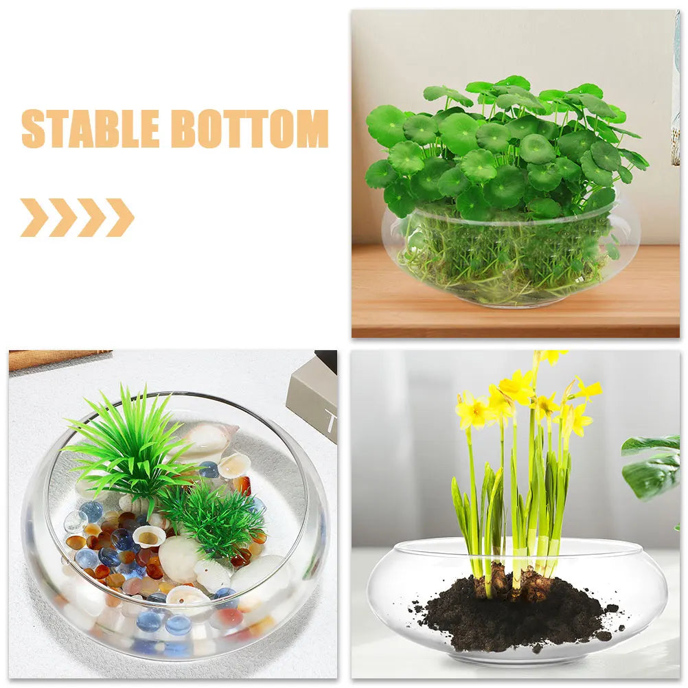 Elegant Clear Glass Vase Bowl - Versatile Terrarium and Succulent Planter for Home and Office Decor