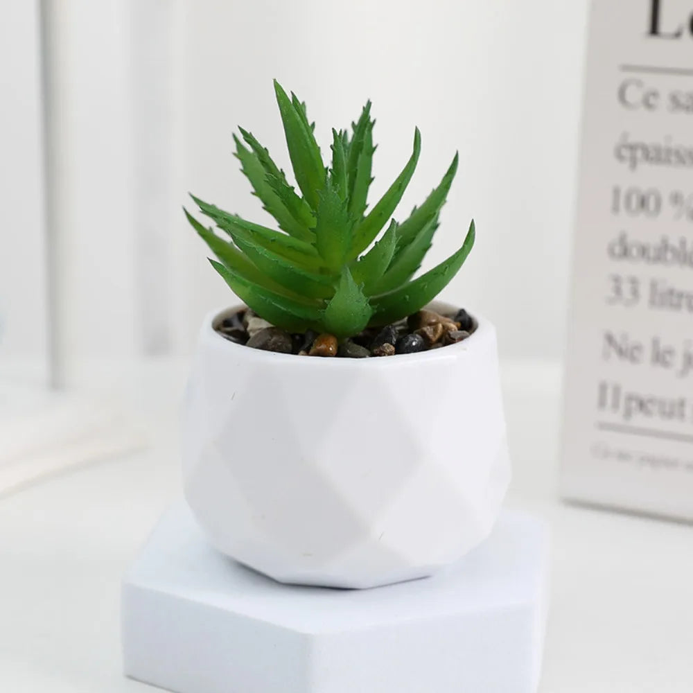 Charming Mini Evergreen Artificial Succulent - Perfect Bonsai Cactus for Home Decor