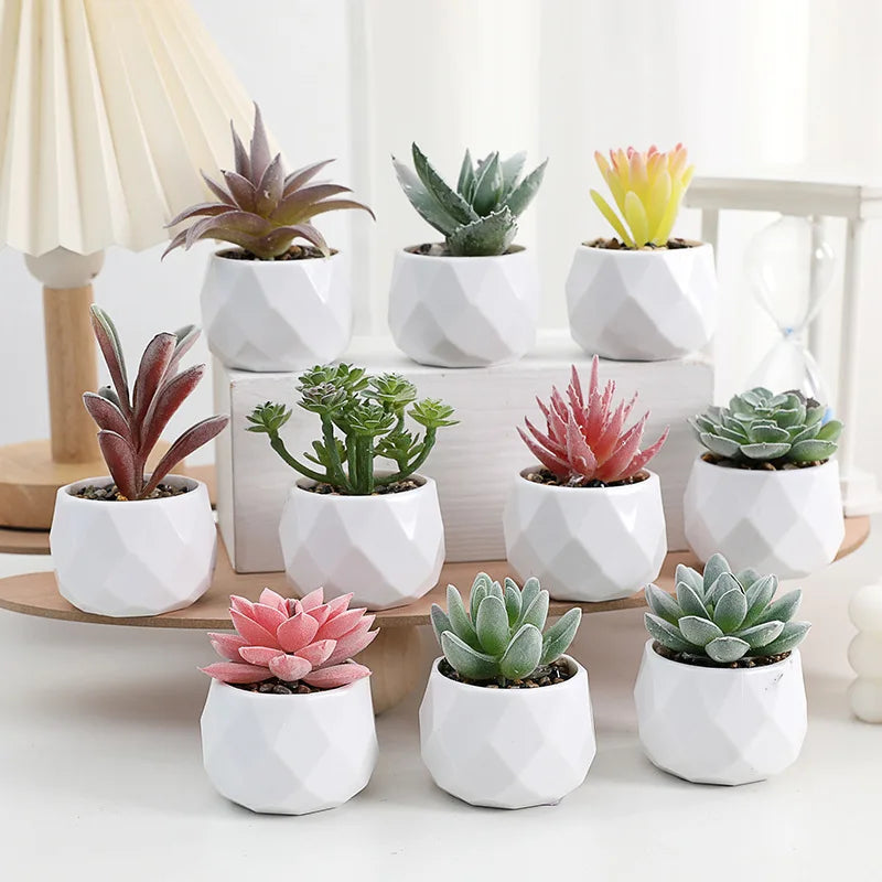 Charming Mini Artificial Succulent Plants Set - Lifelike Cactus Bonsai for Effortless Indoor Home Decor