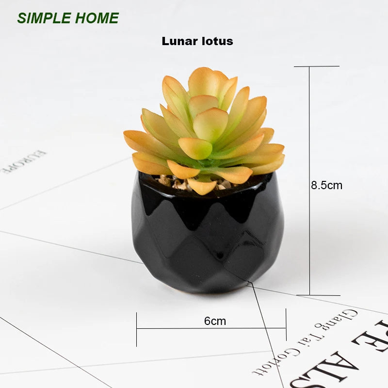 Vibrant Artificial Succulent Bonsai Plant with Elegant Pottery for Stunning Office and Home Decor