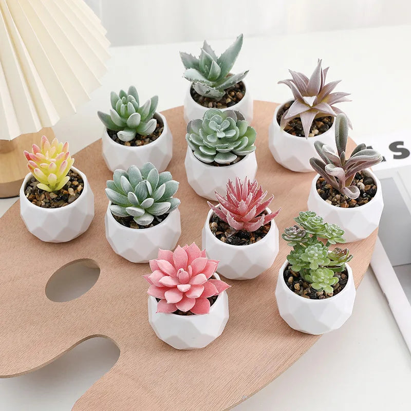 Charming Mini Artificial Succulent Plants Set - Lifelike Cactus Bonsai for Effortless Indoor Home Decor