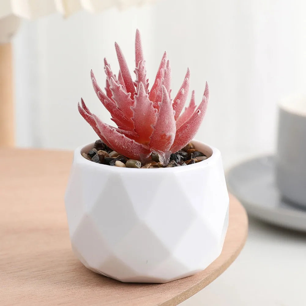 Charming Mini Evergreen Artificial Succulent - Perfect Bonsai Cactus for Home Decor