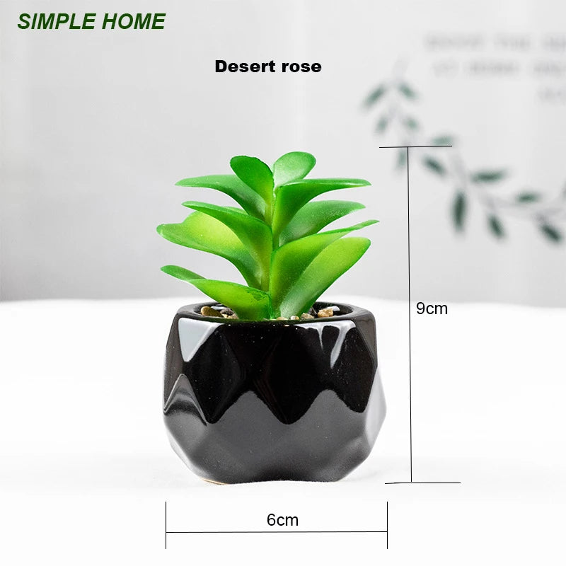 Vibrant Artificial Succulent Bonsai Plant with Elegant Pottery for Stunning Office and Home Decor