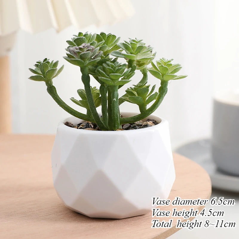 Charming Mini Artificial Succulent Plants Set - Lifelike Cactus Bonsai for Effortless Indoor Home Decor
