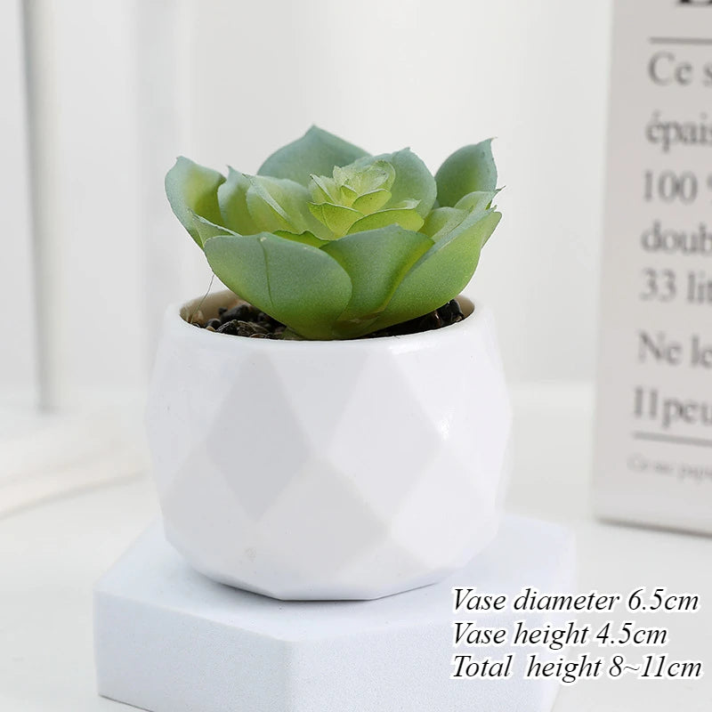 Charming Mini Artificial Succulent Plants Set - Lifelike Cactus Bonsai for Effortless Indoor Home Decor