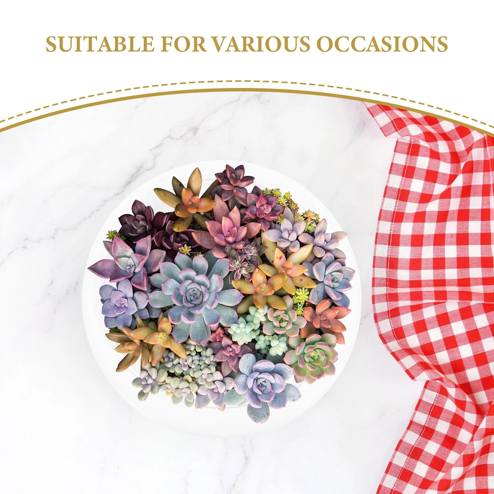 Elegant Clear Glass Vase Bowl - Versatile Terrarium and Succulent Planter for Home and Office Decor