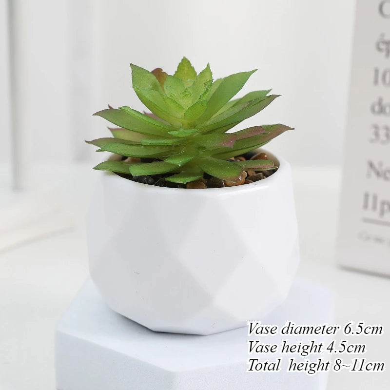 Charming Mini Artificial Succulent Plants Set - Lifelike Cactus Bonsai for Effortless Indoor Home Decor