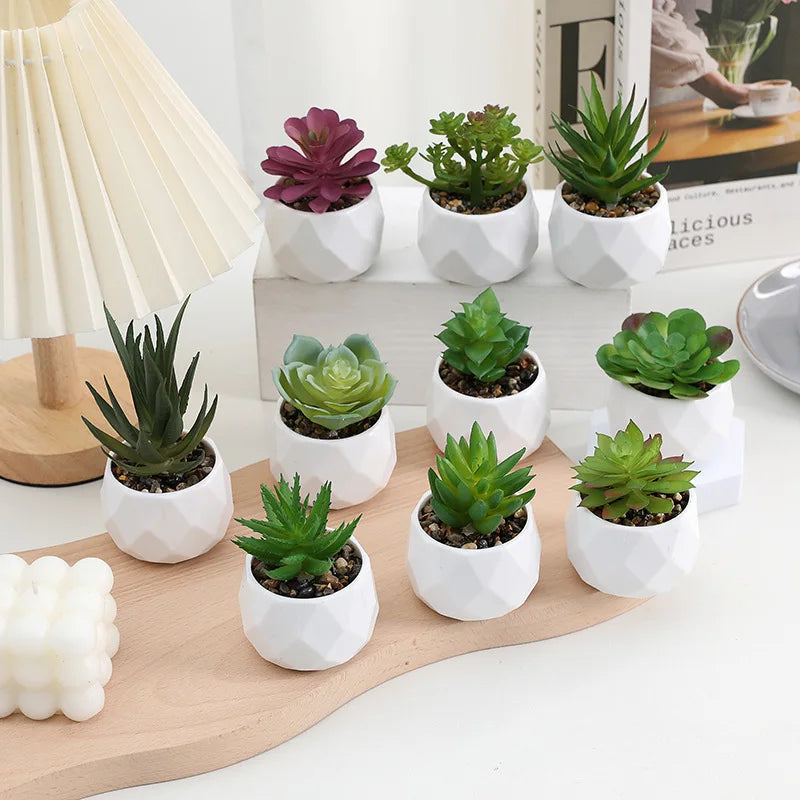 Charming Mini Artificial Succulent Plants Set - Lifelike Cactus Bonsai for Effortless Indoor Home Decor