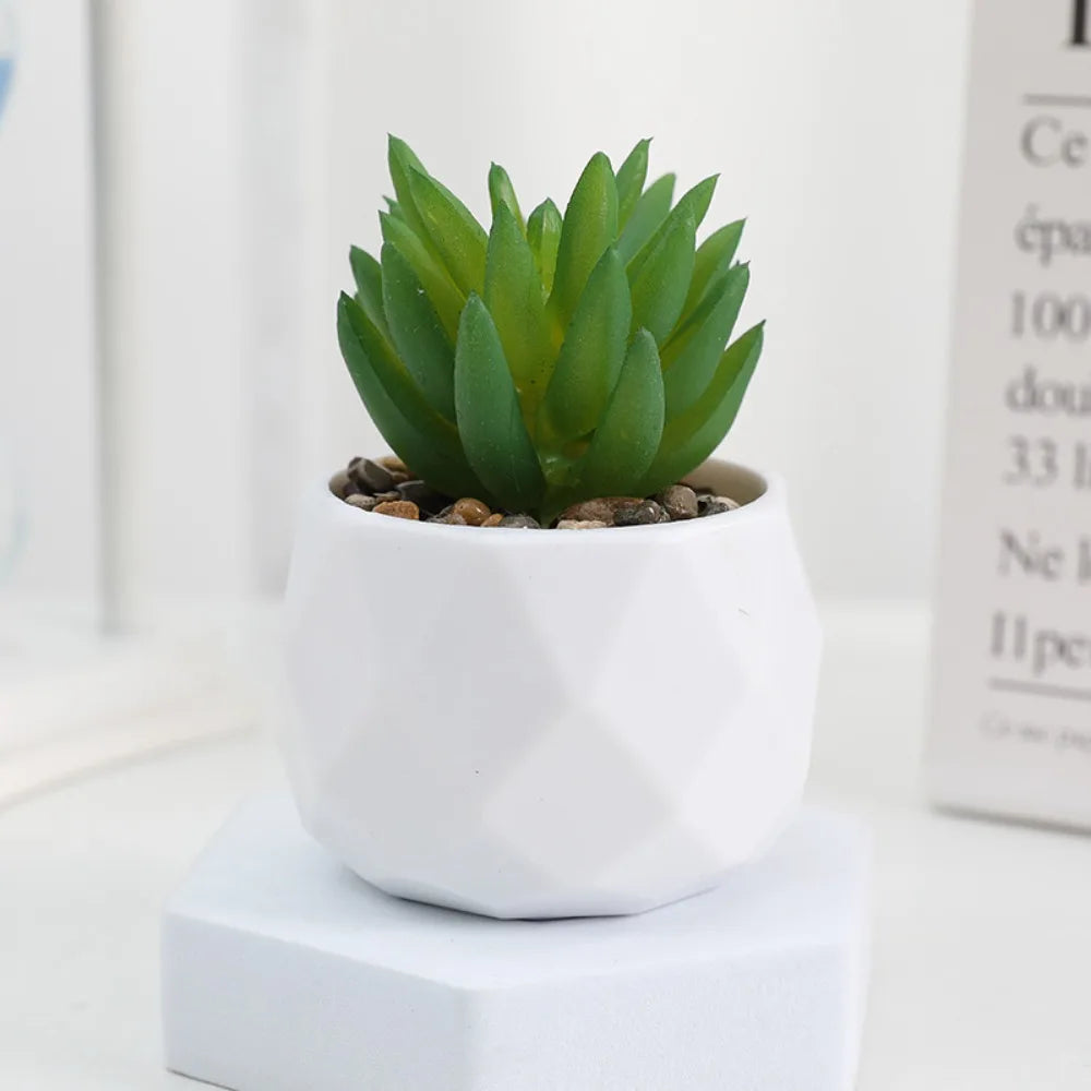 Charming Mini Evergreen Artificial Succulent - Perfect Bonsai Cactus for Home Decor