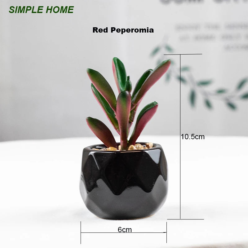 Vibrant Artificial Succulent Bonsai Plant with Elegant Pottery for Stunning Office and Home Decor