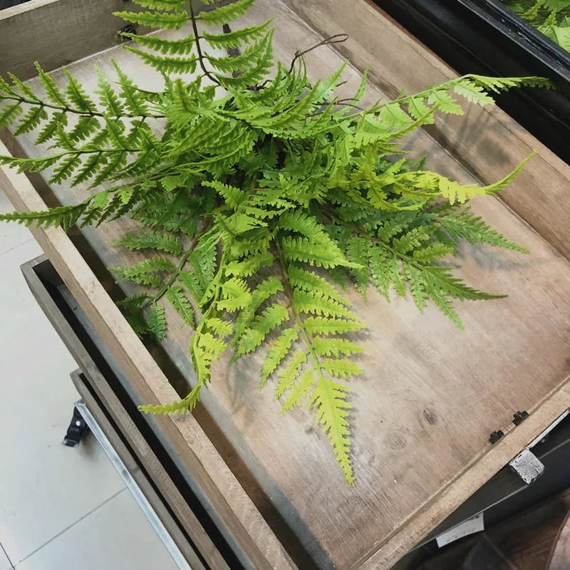 Transform Your Space with 1Pcs Lush Artificial Green Persian Fern - Perfect for Bedrooms, Parties, and Home Decor!