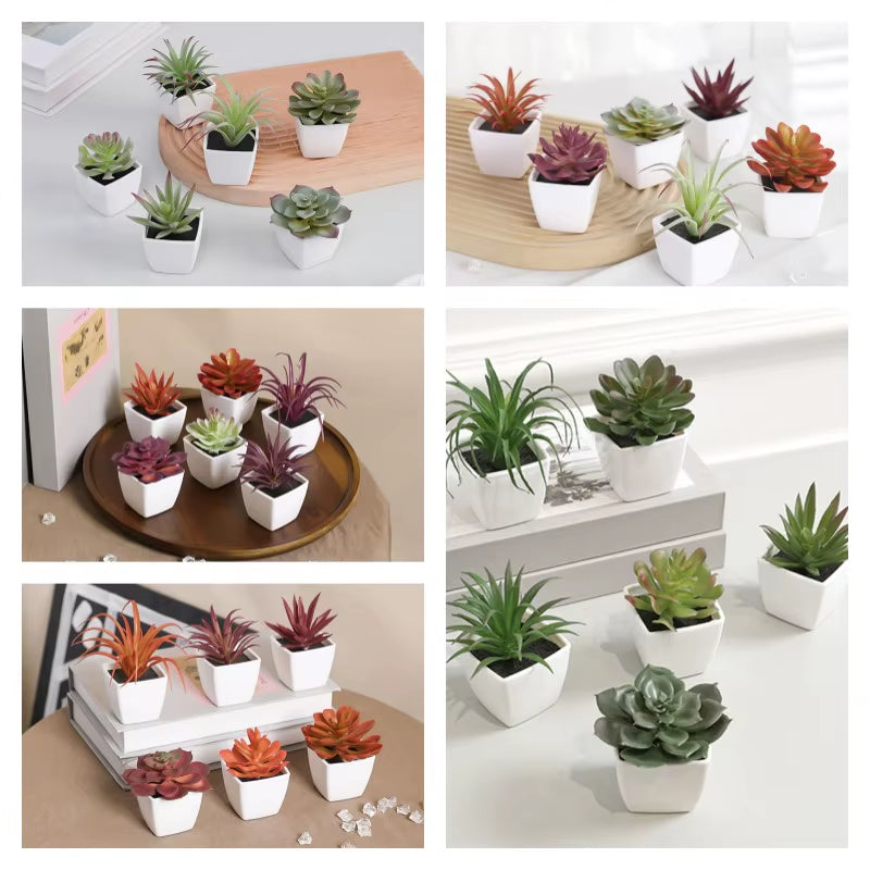Elevate Your Space with 6PCS Mini Artificial Succulent Plants in Chic White Basins - Perfect for Home, Restaurants, and More!