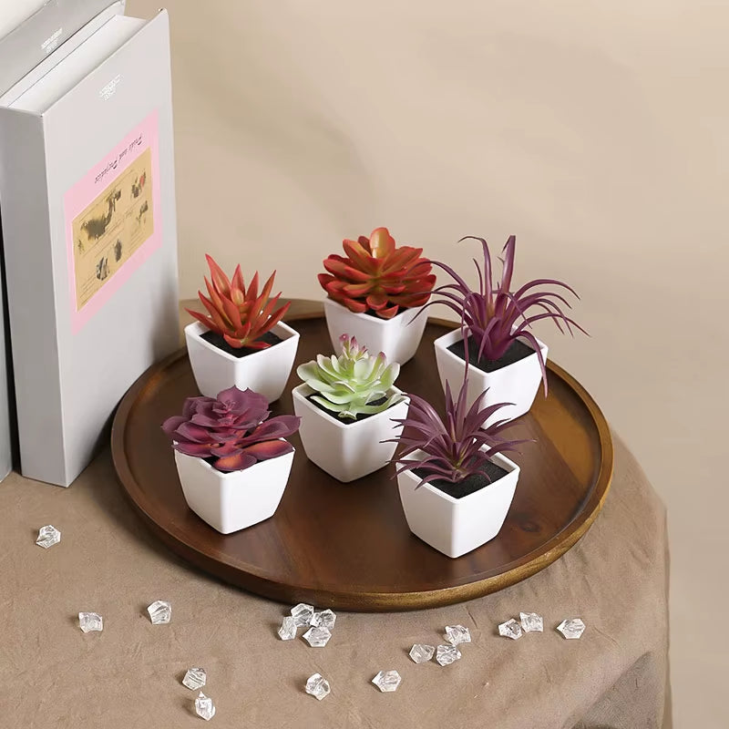 Elevate Your Space with 6PCS Mini Artificial Succulent Plants in Chic White Basins - Perfect for Home, Restaurants, and More!