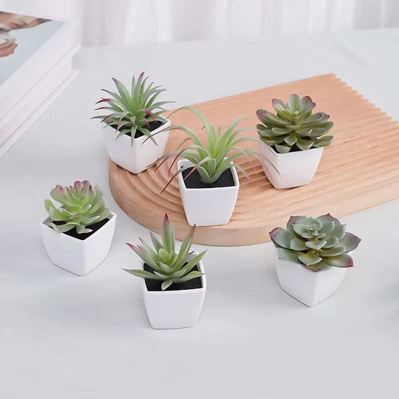 Elevate Your Space with 6PCS Mini Artificial Succulent Plants in Chic White Basins - Perfect for Home, Restaurants, and More!