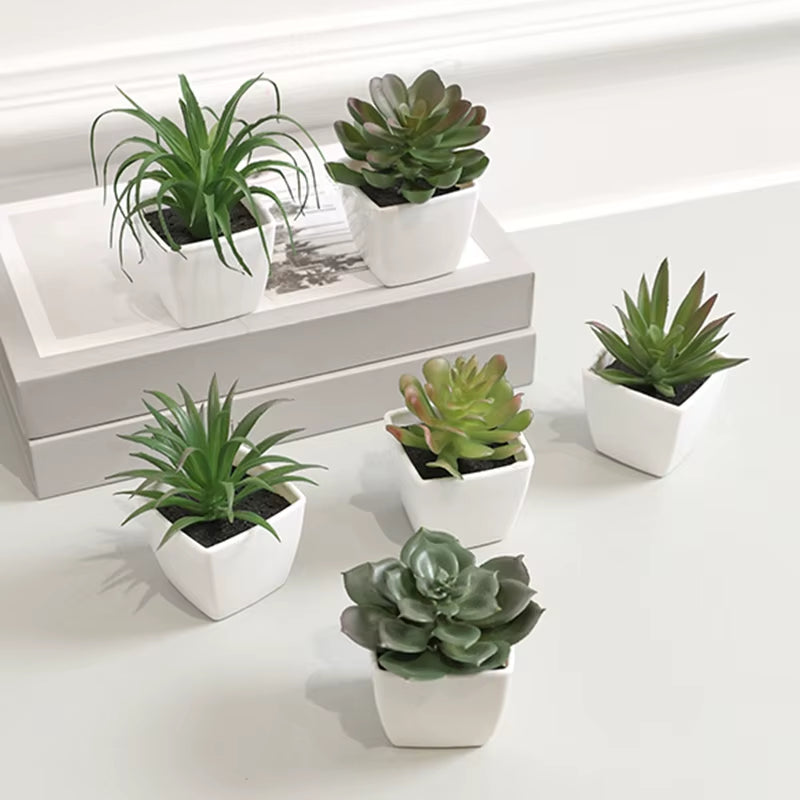 Elevate Your Space with 6PCS Mini Artificial Succulent Plants in Chic White Basins - Perfect for Home, Restaurants, and More!